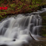 WORKSHOPS HELP YOU BECOME A BETTER PHOTOGRAPHER